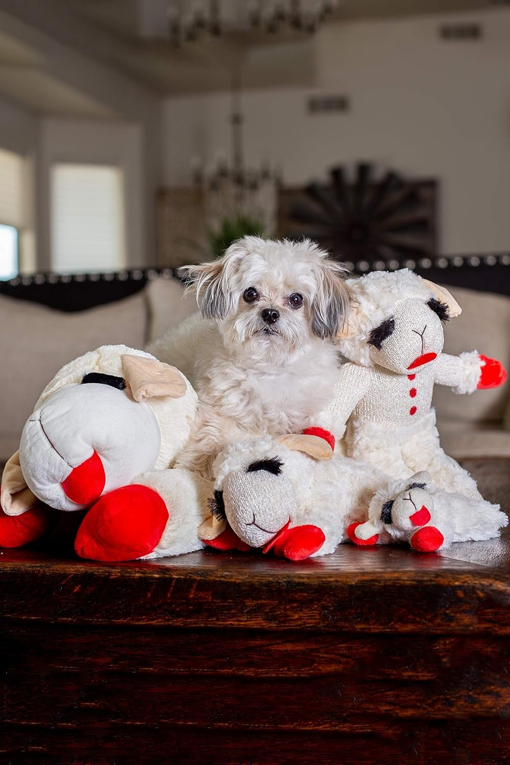 Plush Toy Lambchop Dog Toy for Small Dog Breeds I8238