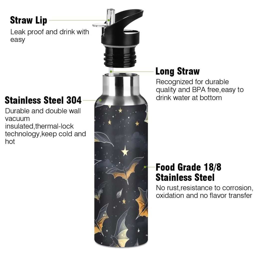 20 oz Insulated Stainless Steel Water Bottle with Straw Lid J265
