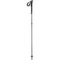 Ski Poles B200