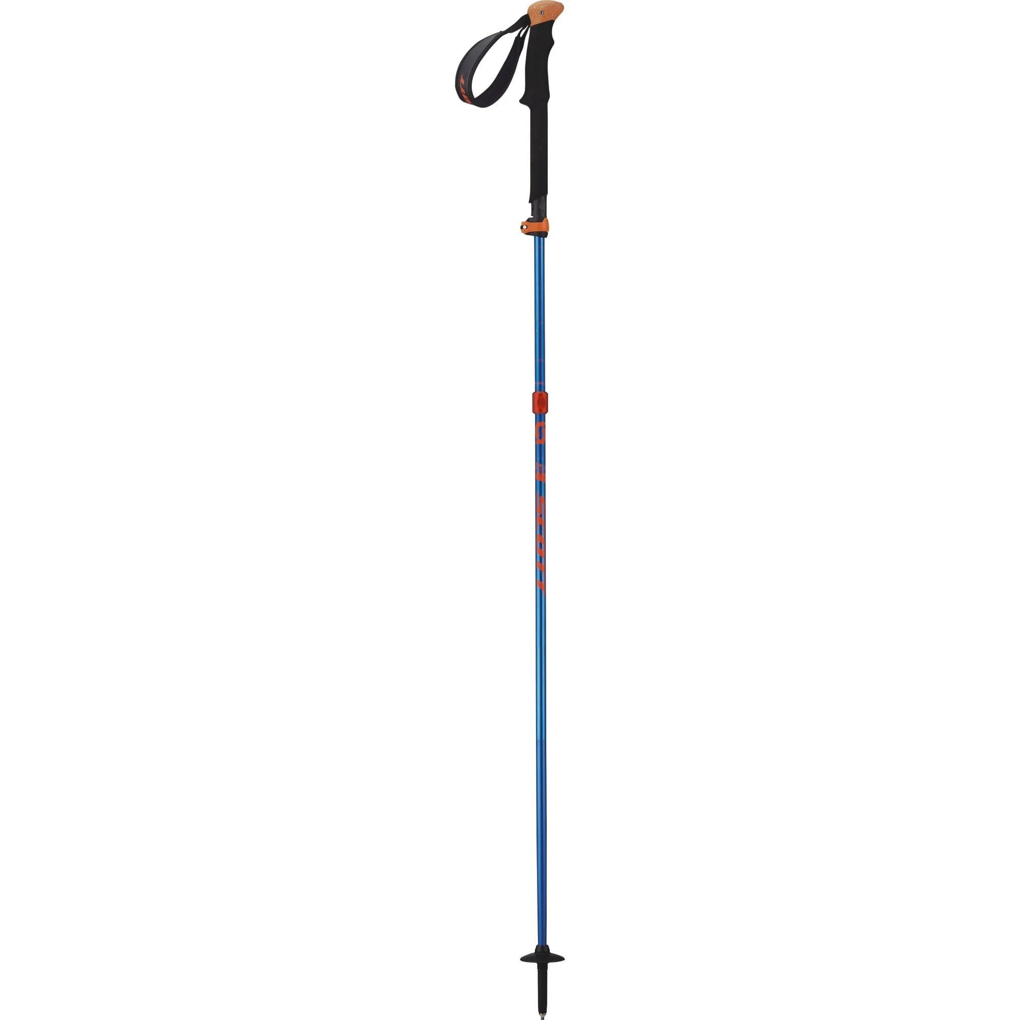 Ski Poles B200
