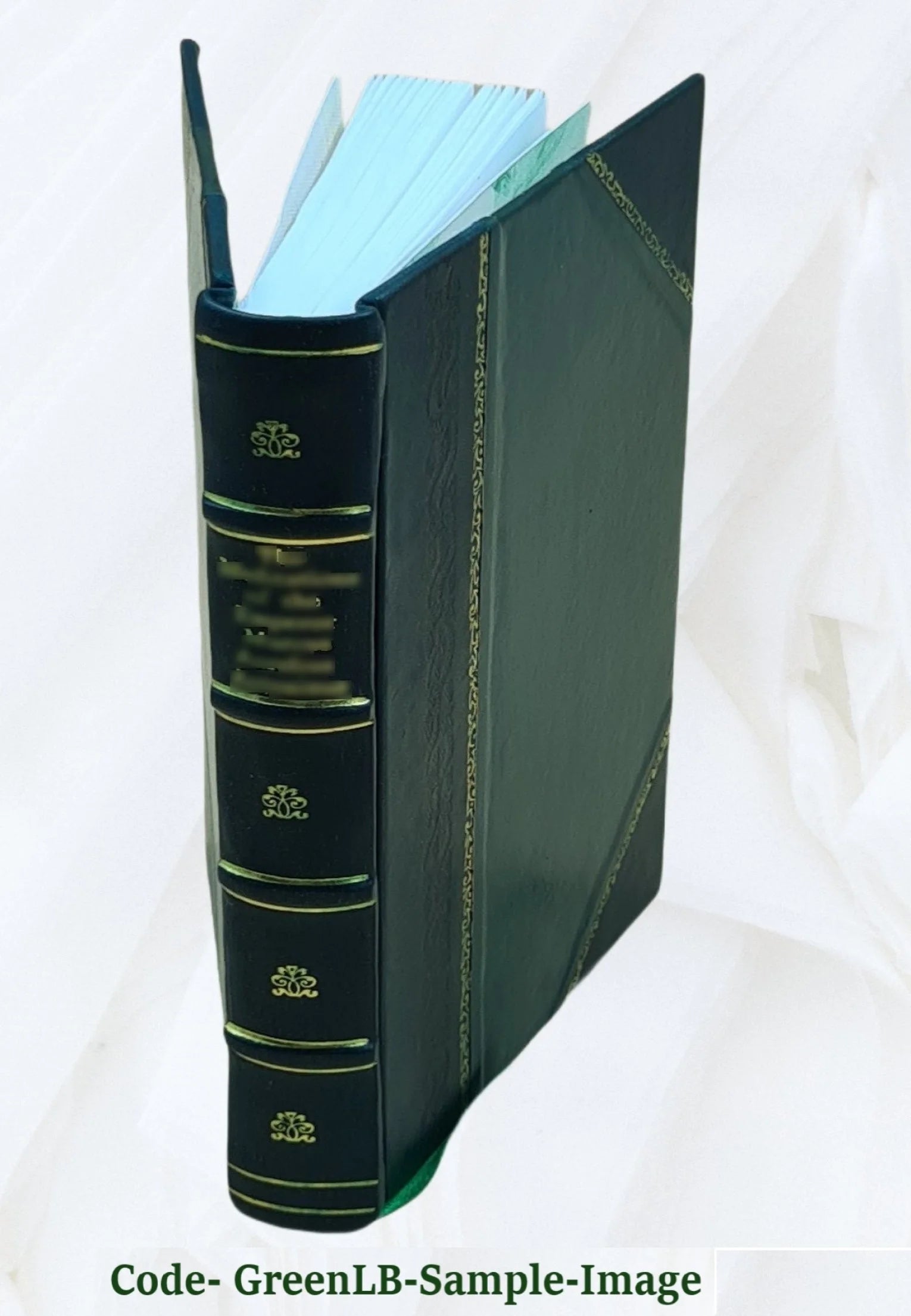 Leather Bound Book O6962