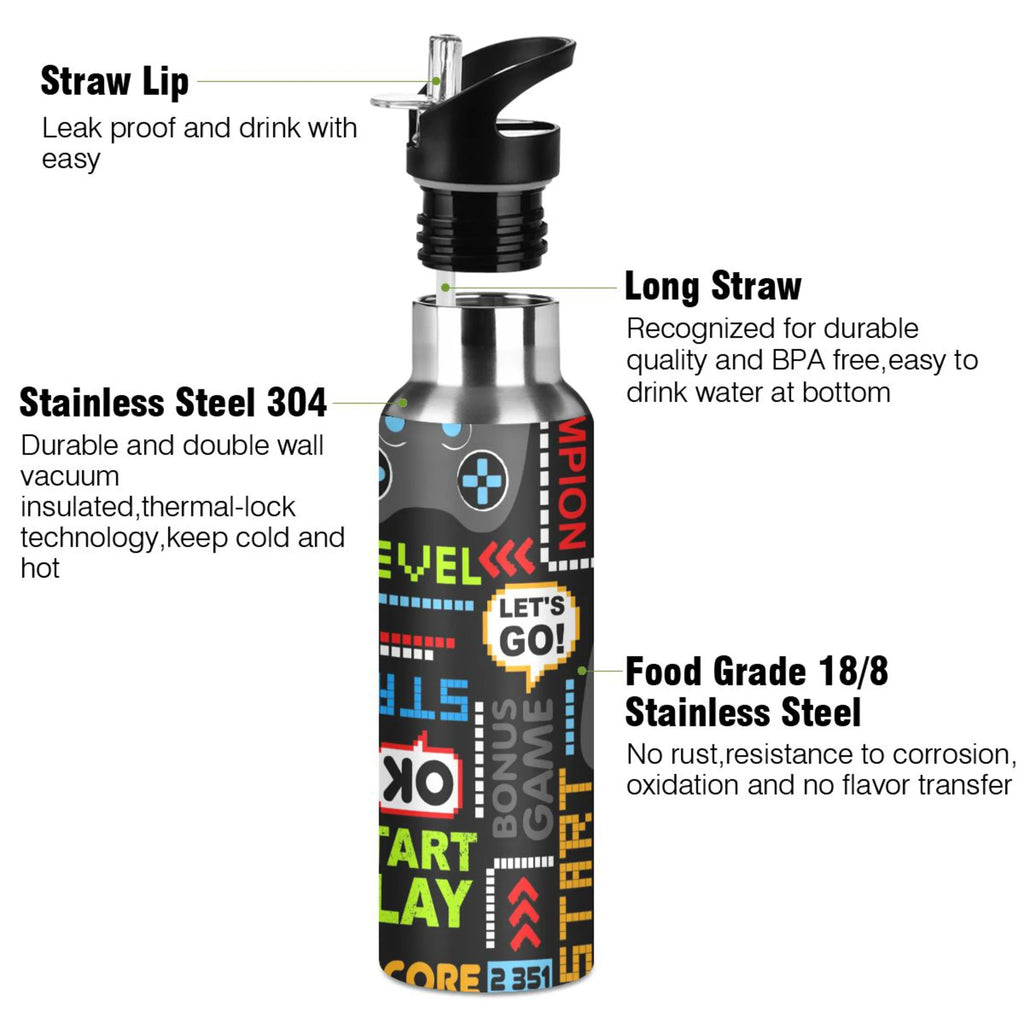 Stainless Steel 20 OZ Vacuum Insulated Water Bottle with Straw Lid X144