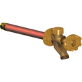 Residential Freezeless Wall Faucet Y296796