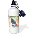 African Grey Parrot Sports Water Bottle 21oz T610