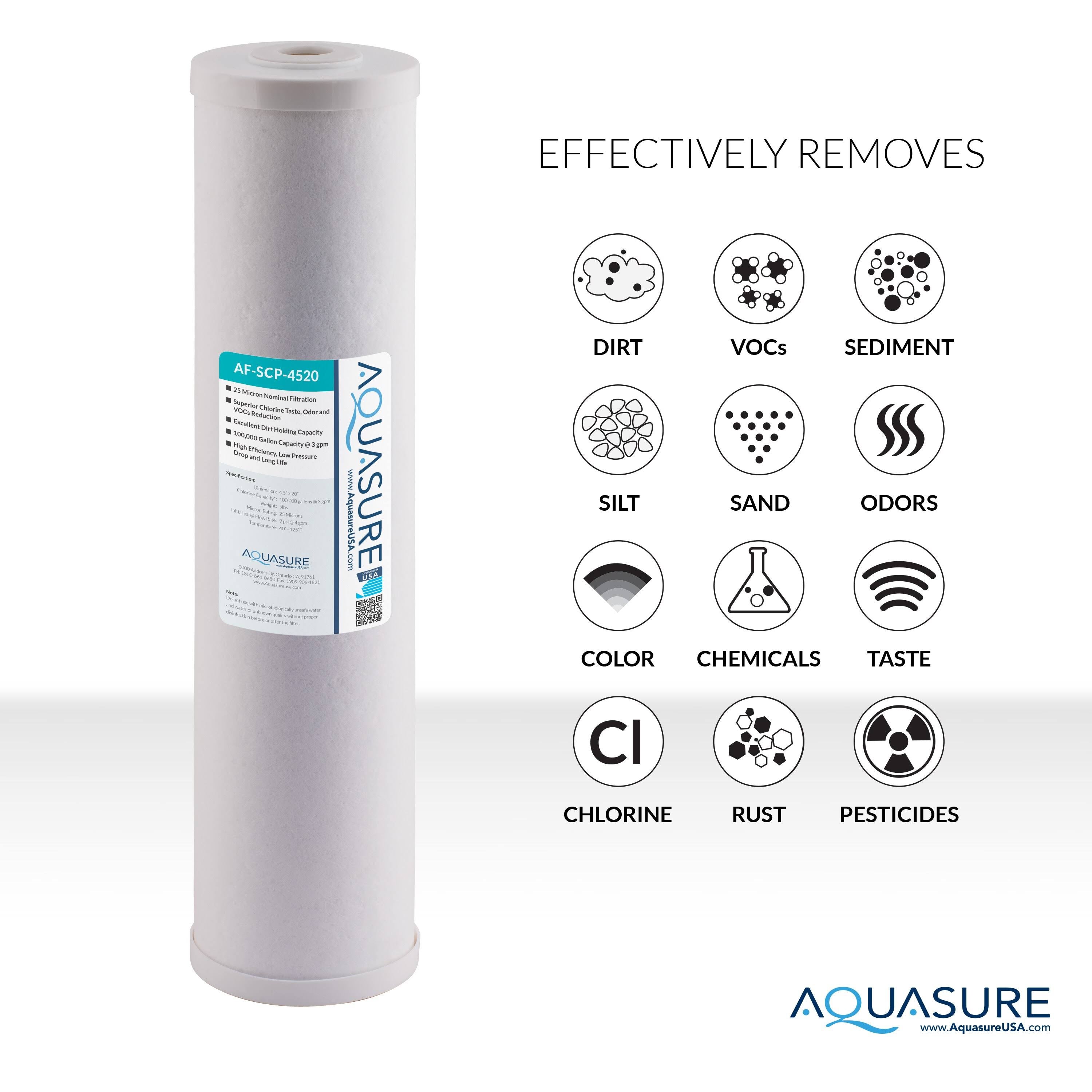 25-Mic Sediment GAC Dual Purpose Whole House Water Filter Cartridge C51529