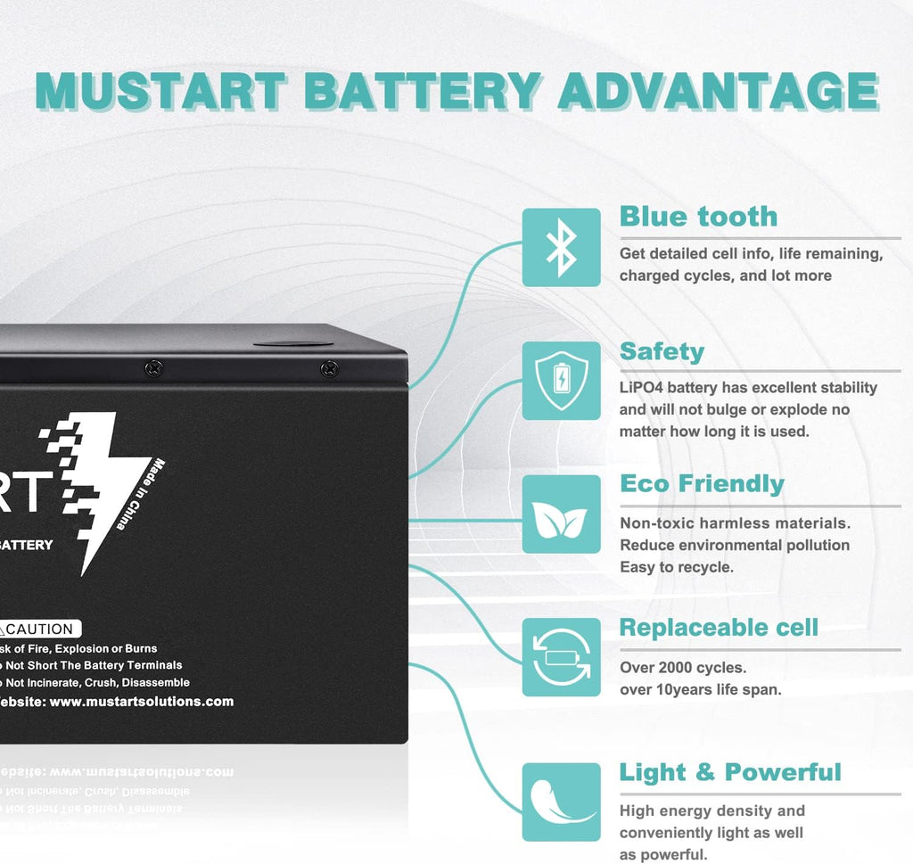 12.8V 180Ah Lithium Iron Phosphate Battery with Smart BMS M840731