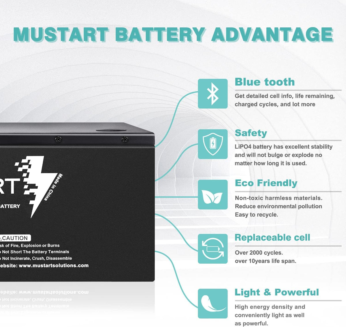 12.8V 180Ah Lithium Iron Phosphate Battery with Smart BMS M840731