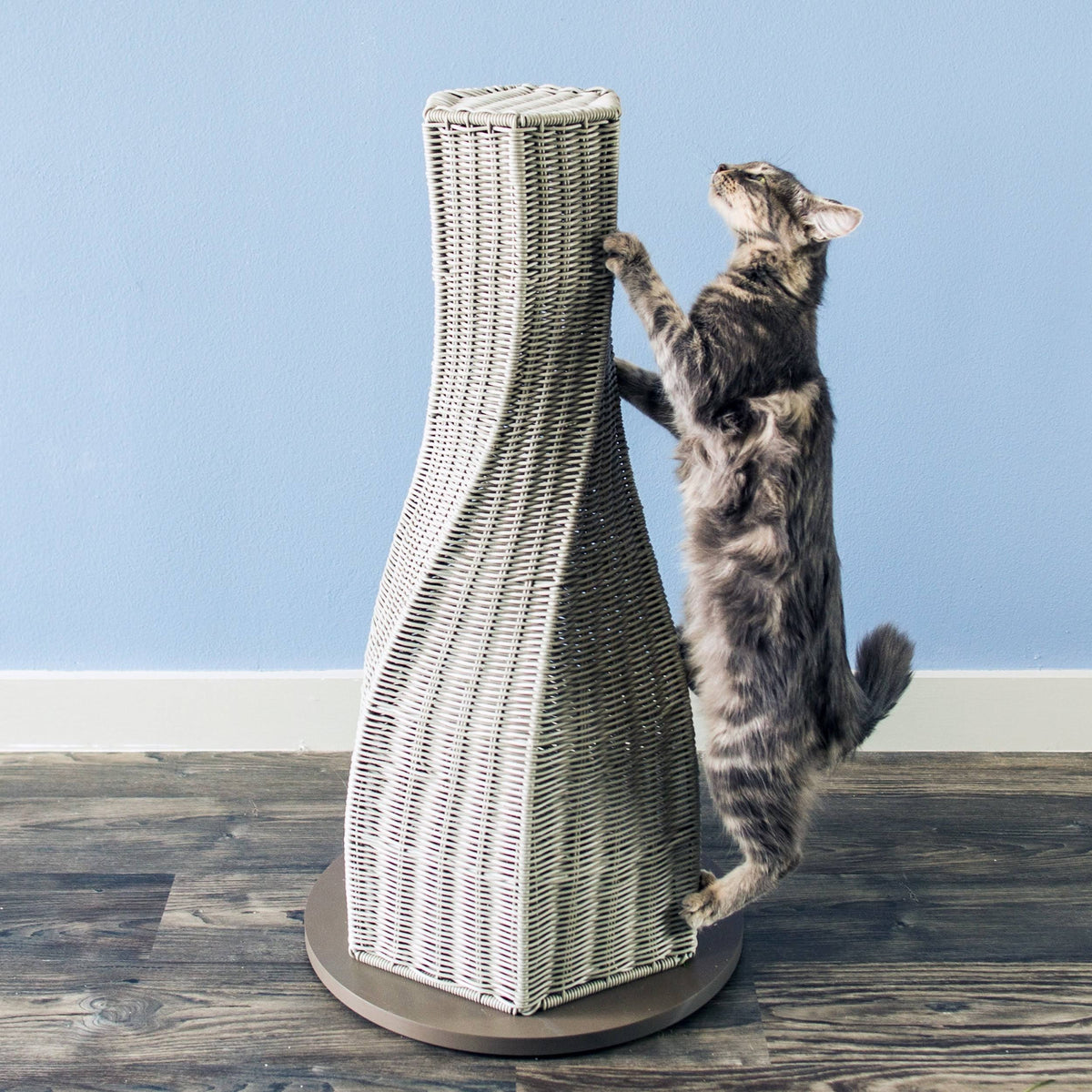 Espresso Cat Scratcher V855771
