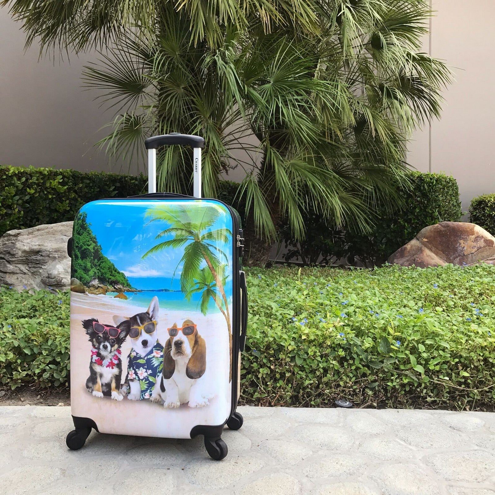 3-Piece Hardside Expandable Spinner Luggage Set E4568