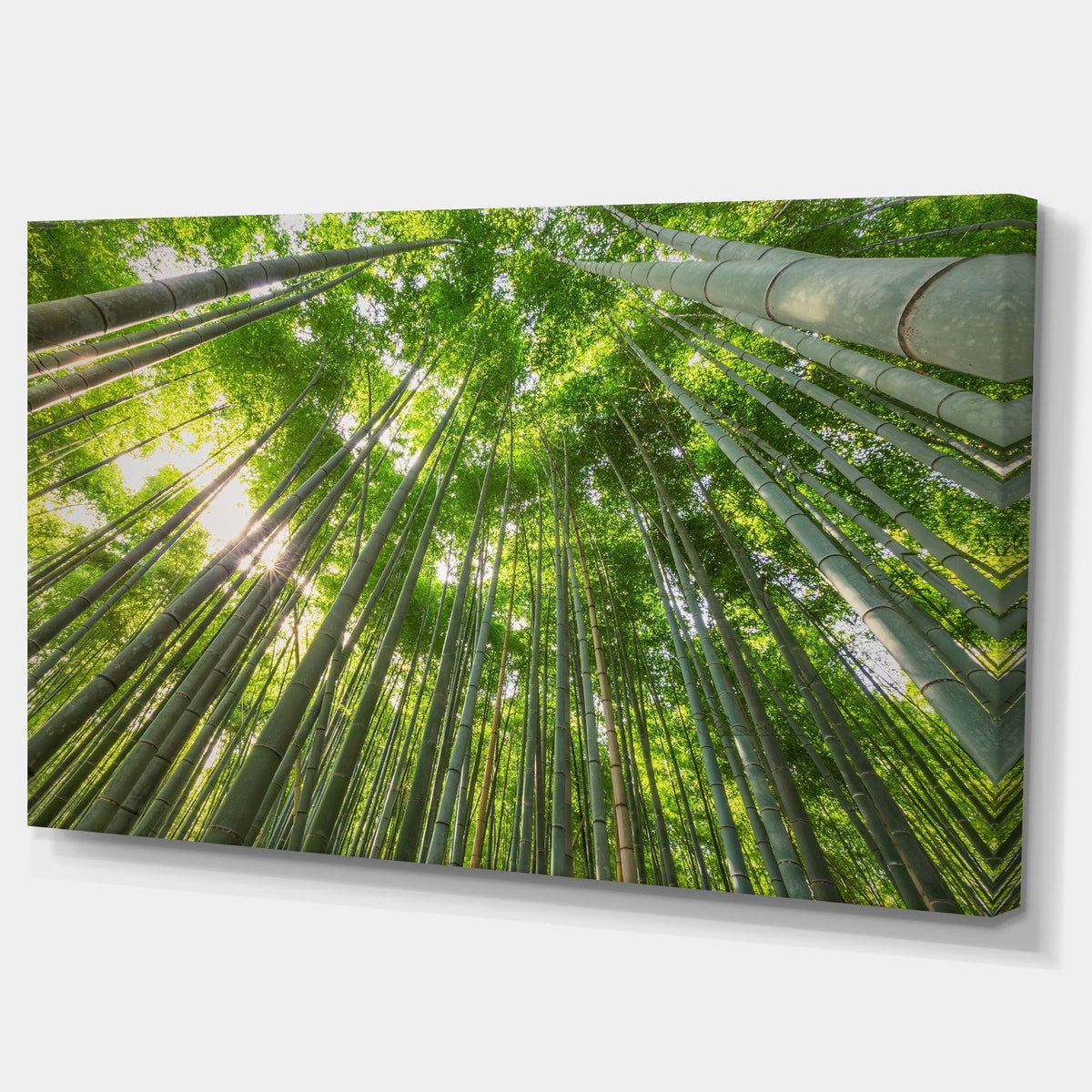 Oversized Forest Canvas Artwork Print H801735