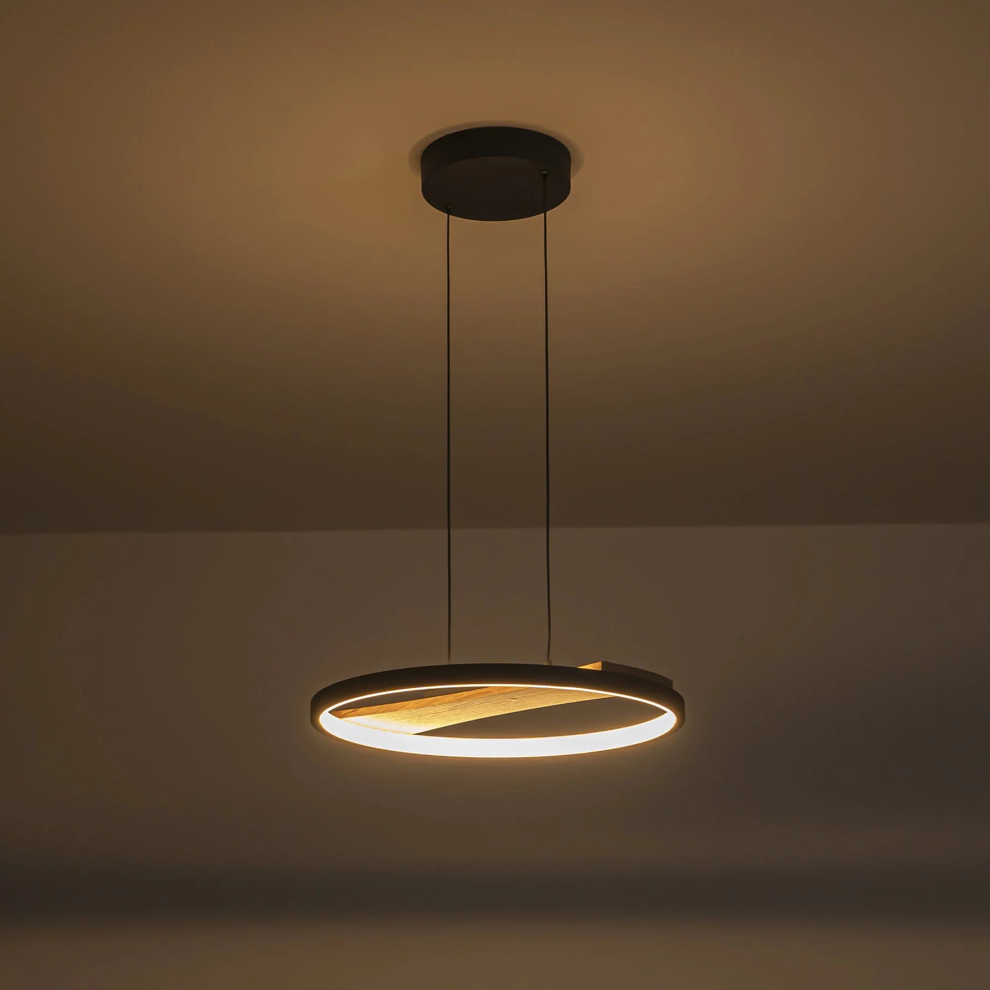 LED Circle Round Wood Pendant F8521