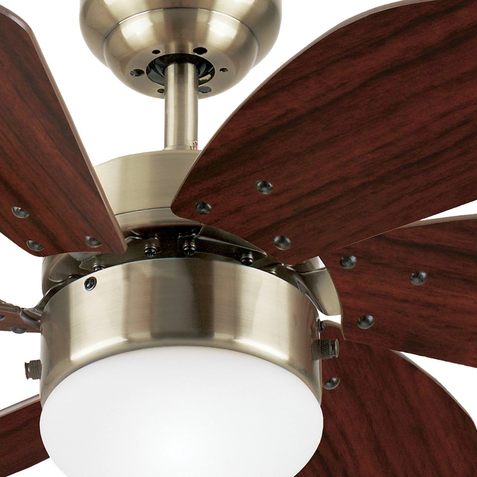Antique Brass 30x22 Ceiling Fan with Light U5755