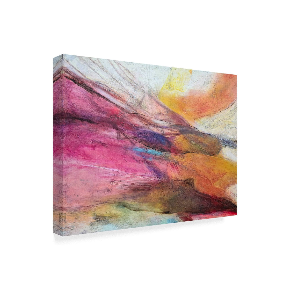 Fuchsia Expression II Canvas Art 35x47 R18616