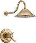 Champagne Bronze Shower Trim L377