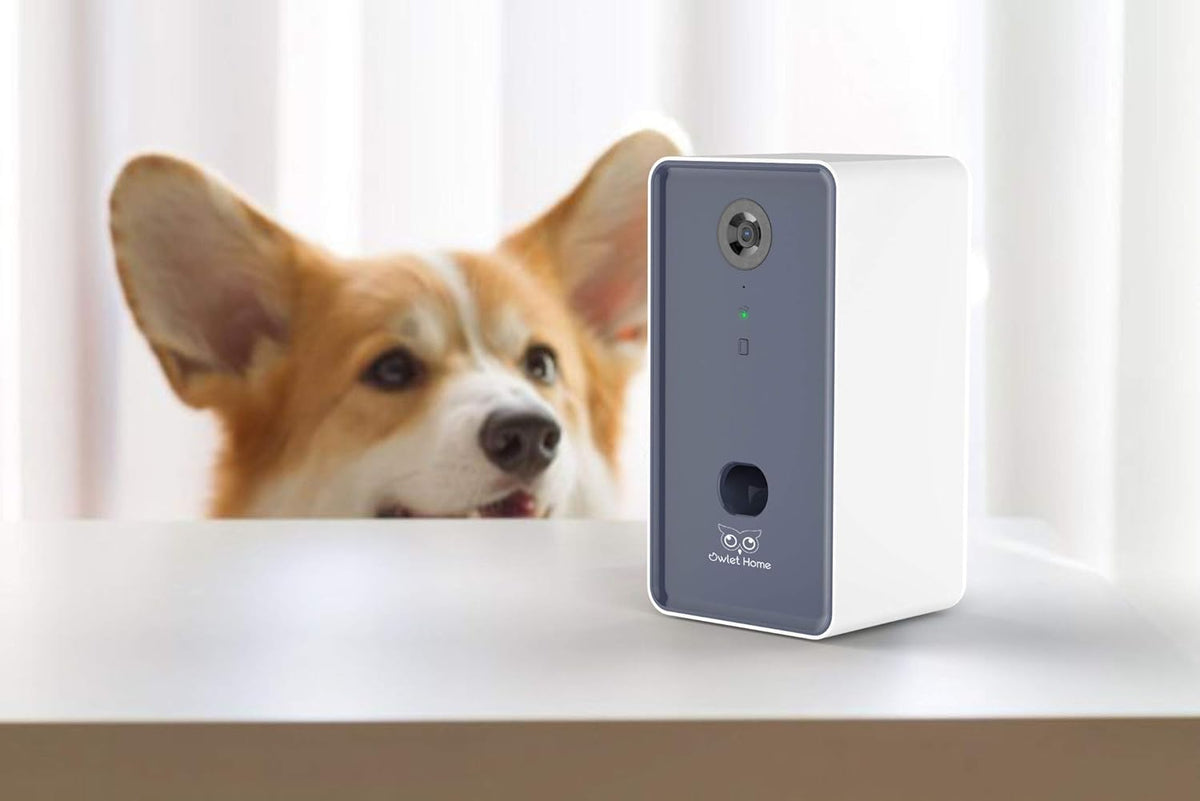 Pet Camera with Treat Dispenser, WiFi, 1080P, Auto Night Vision, 2-Way Audio X152869