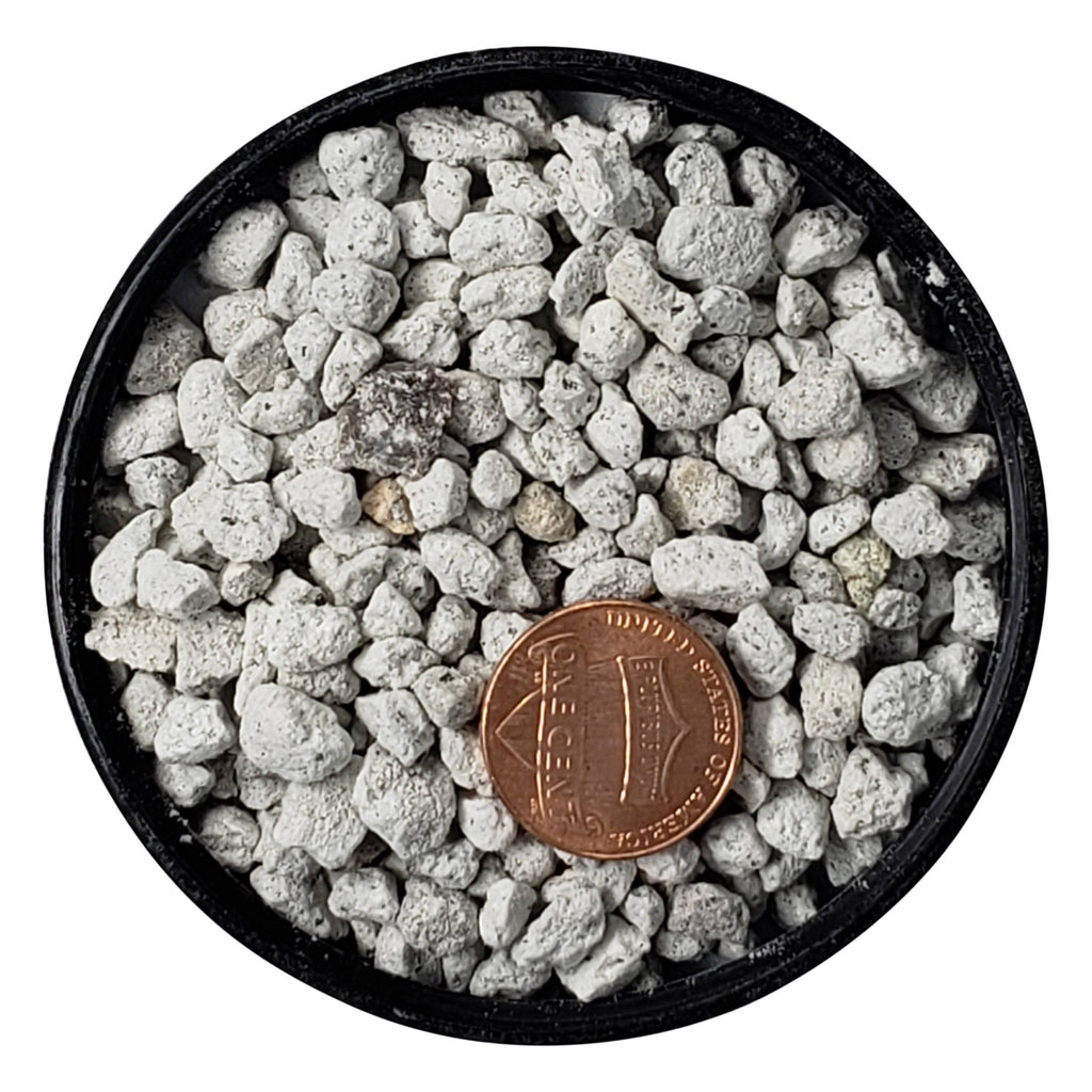 1.25 Dry Quarts Pumice Z682