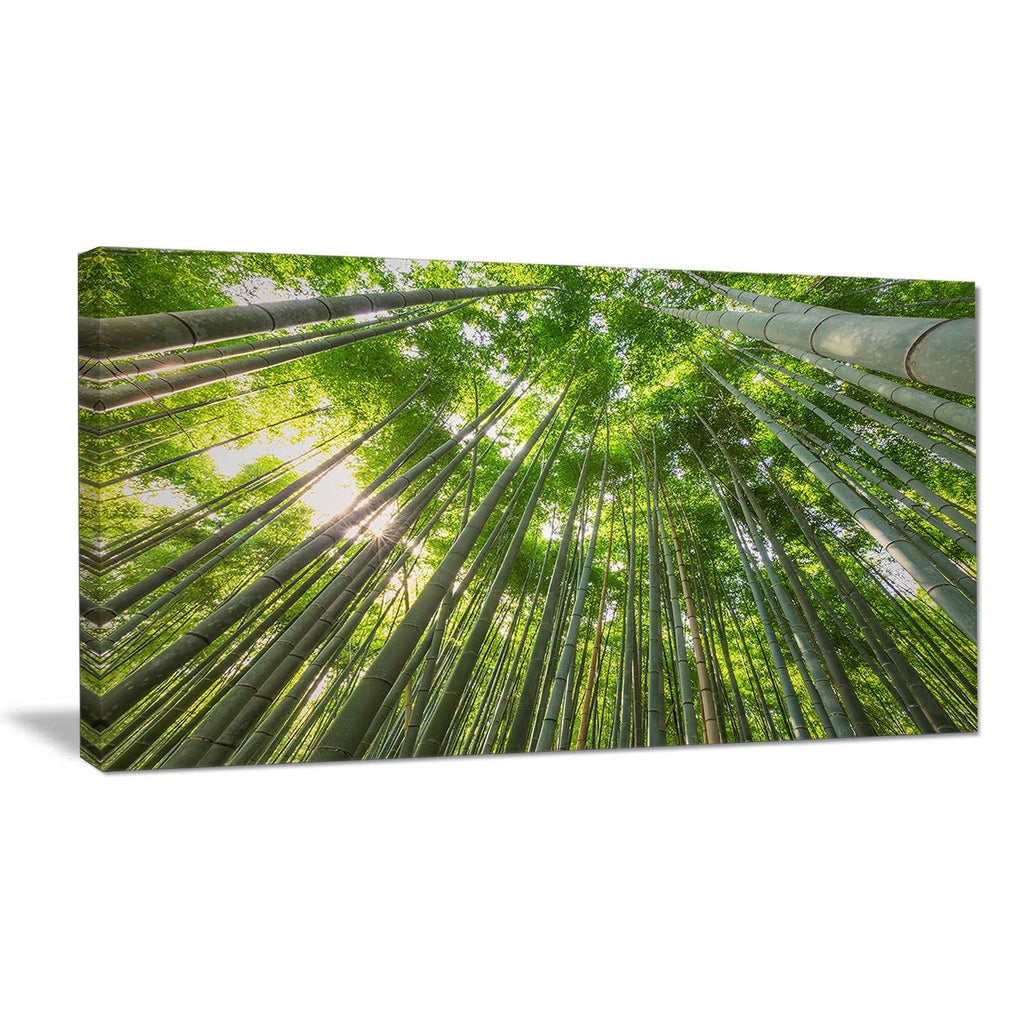 Oversized Forest Canvas Artwork Print H801735