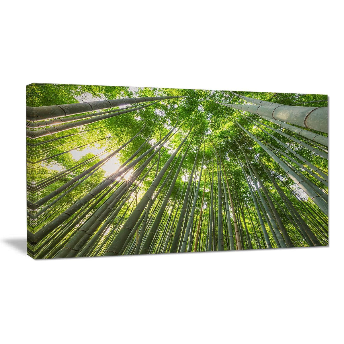 Oversized Forest Canvas Artwork Print H801735