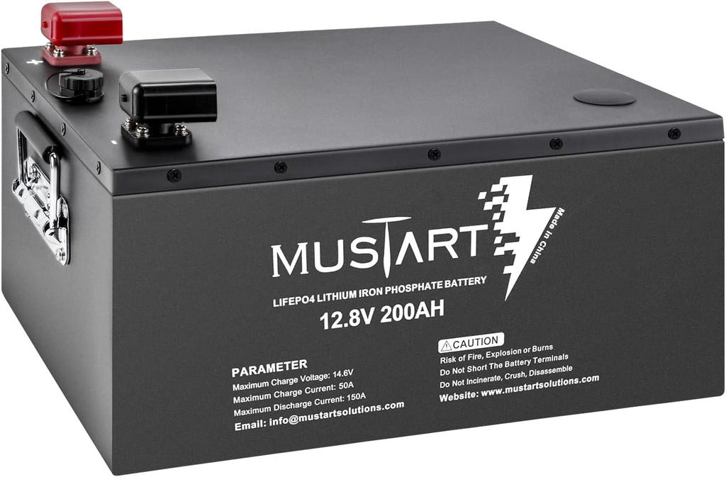 12.8V 180Ah Lithium Iron Phosphate Battery with Smart BMS M840731