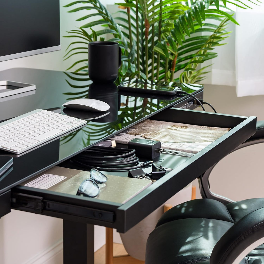 48 x 24 Inch Electric Height Adjustable Standing Desk with Drawer and USB Ports D61385