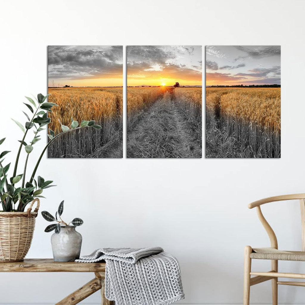 3 Pieces Golden Wheat Field Texas Sunset Canvas Wall Art M388891