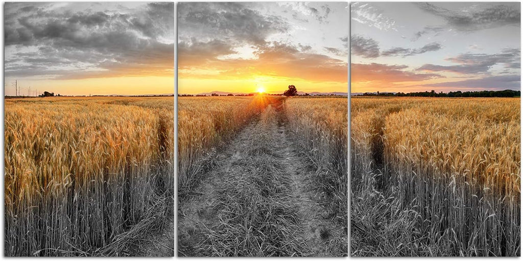 3 Pieces Golden Wheat Field Texas Sunset Canvas Wall Art M388891