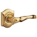 Entry Lever H2820