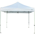 10 ft. W x 10 ft. D Canopy R889901