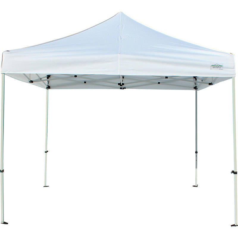 10 ft. W x 10 ft. D Canopy R889901