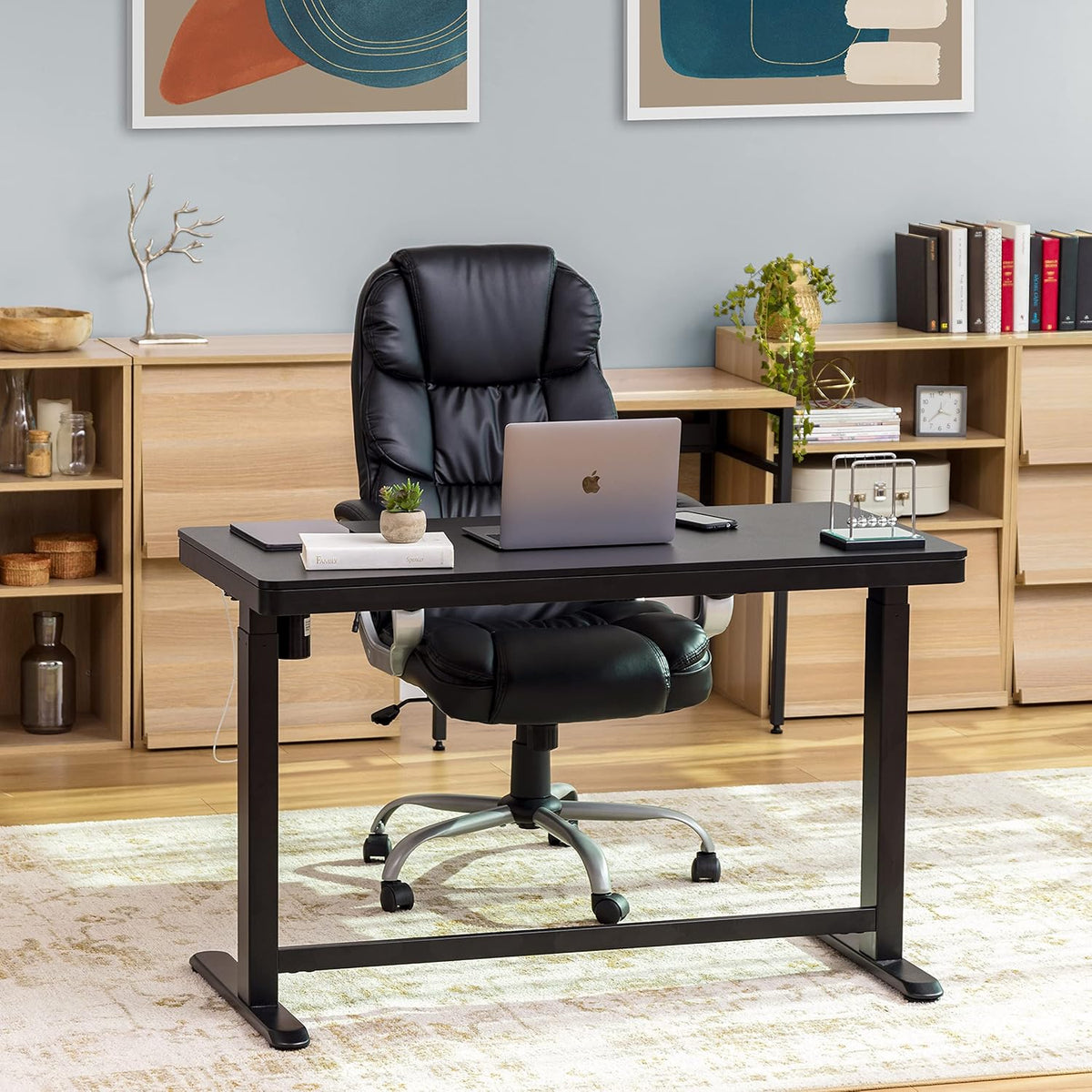 48 x 24 Inch Electric Height Adjustable Standing Desk with Drawer and USB Ports D61385