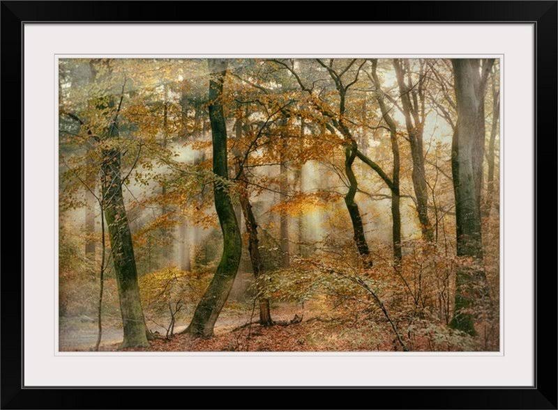 Photographic Print Black Frame 29x22 H x 41x2 L115