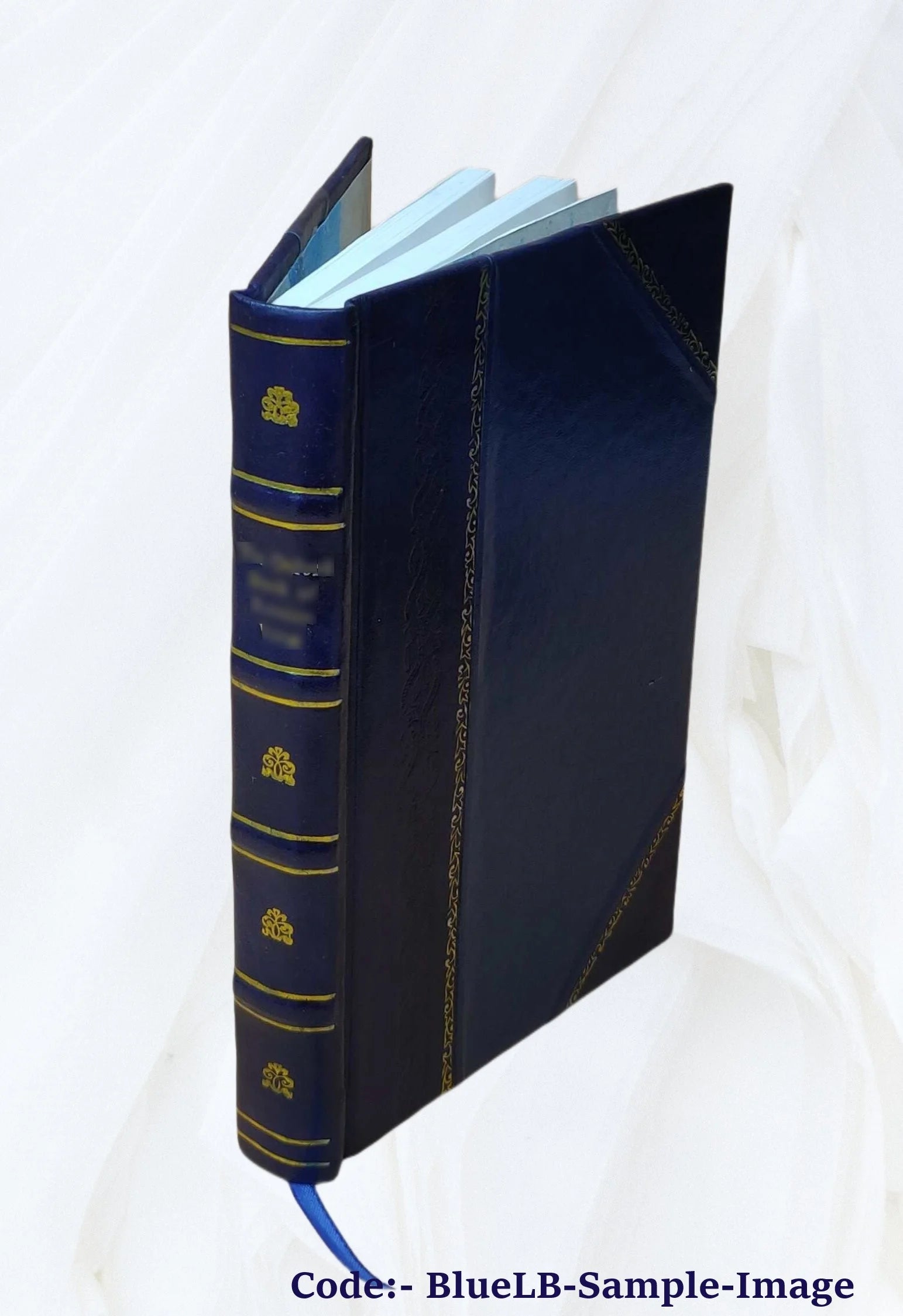 Leather Bound Book O6962