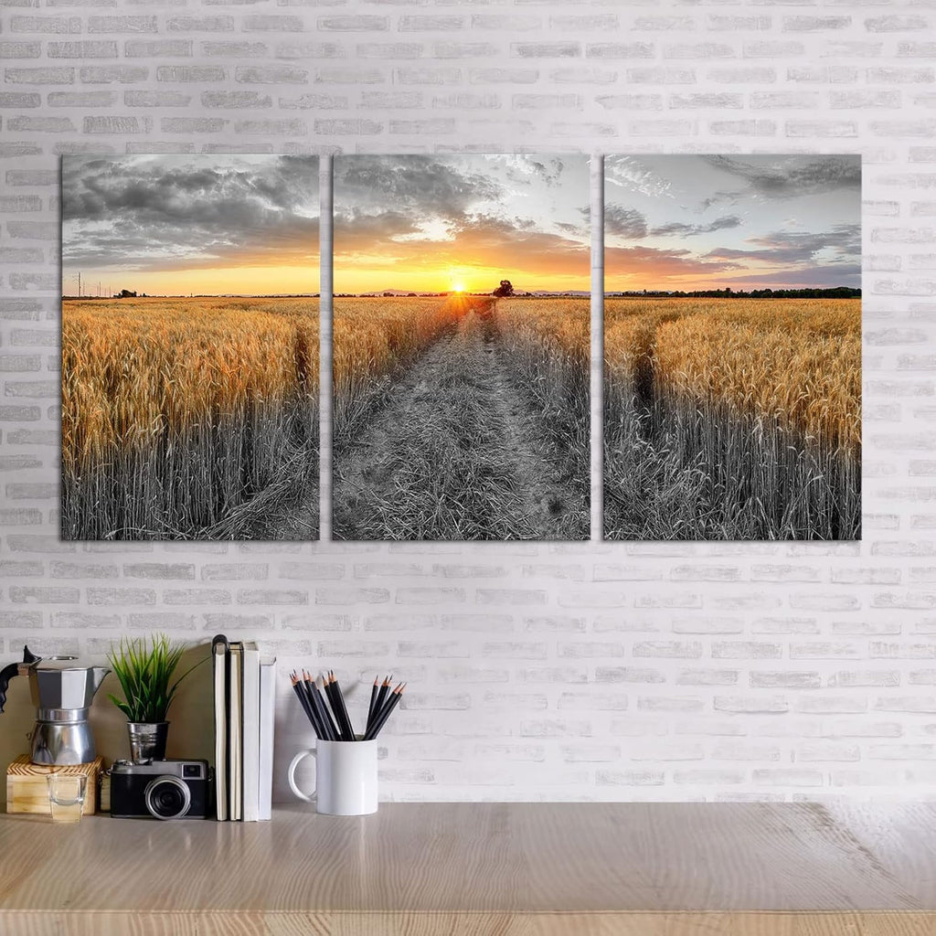 3 Pieces Golden Wheat Field Texas Sunset Canvas Wall Art M388891