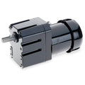 6 RPM AC Gearmotor D65496