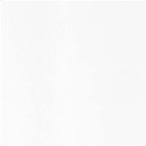 Platine Fibre Rag Inkjet Paper 310gsm 36 in. x 50 ft. Roll L7082
