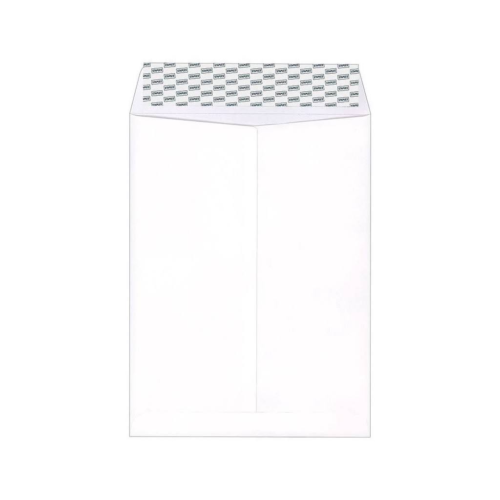 9 x 12 White Wove Catalog Envelopes, 250/Box O825