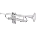 Bb Trumpet S9064