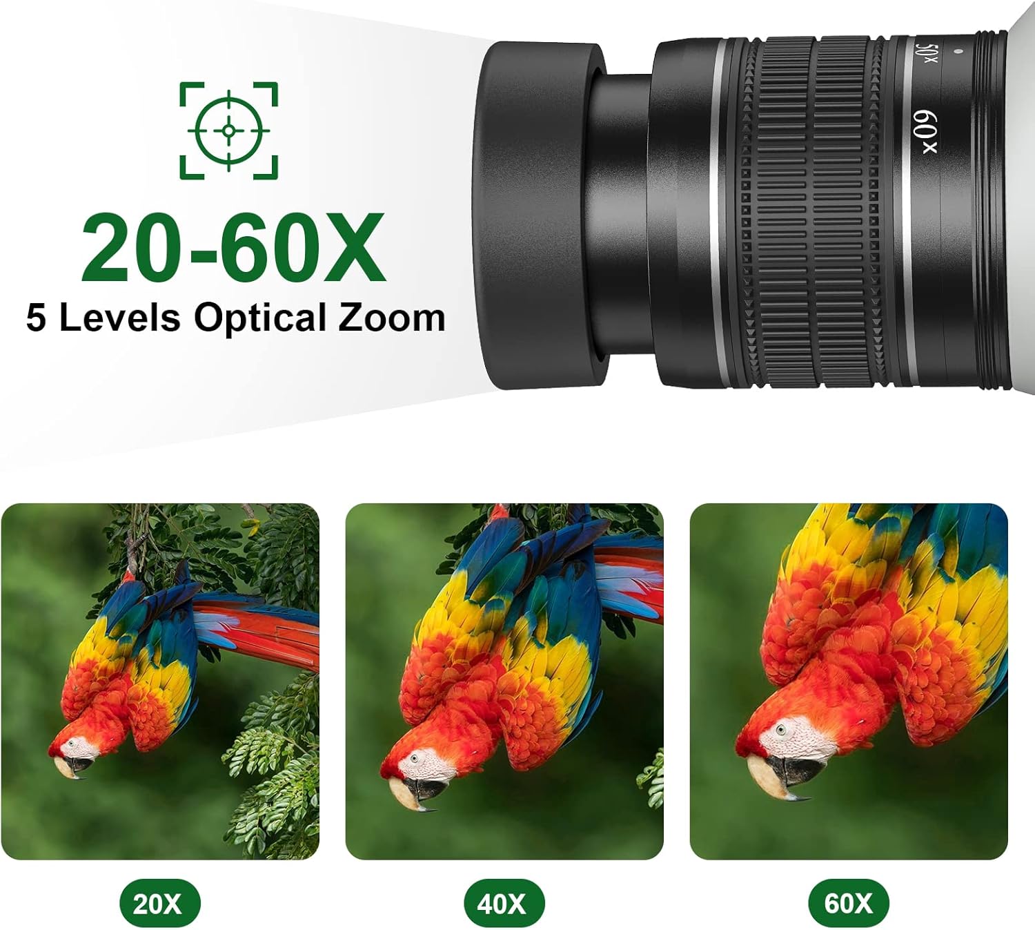 20-60X80 Spotting Scope with Tripod, Carry Bag, Dual Focusing and 24MM Big Eyepiece Q945