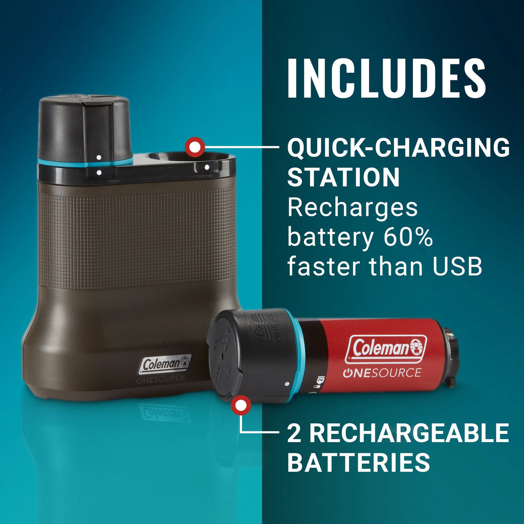 Rechargeable Lithium-Ion Battery Pack of 2 & 2-Port Quick-Charging Station R41151