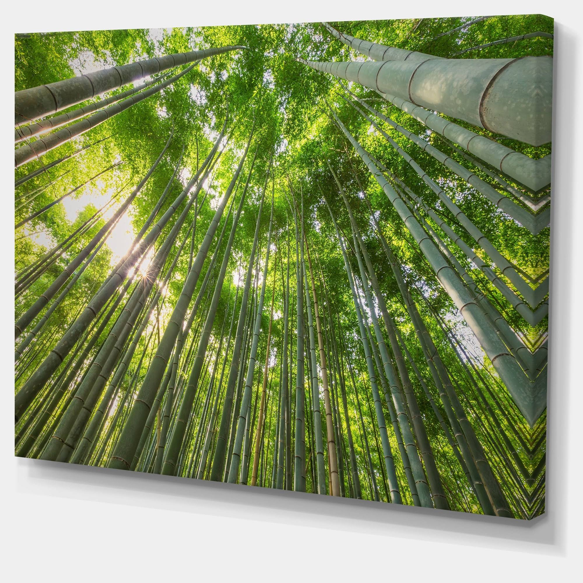 Oversized Forest Canvas Artwork Print H801735