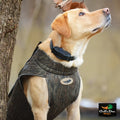 3XLarge Realtree Timber Hunting Dog Parka U84453