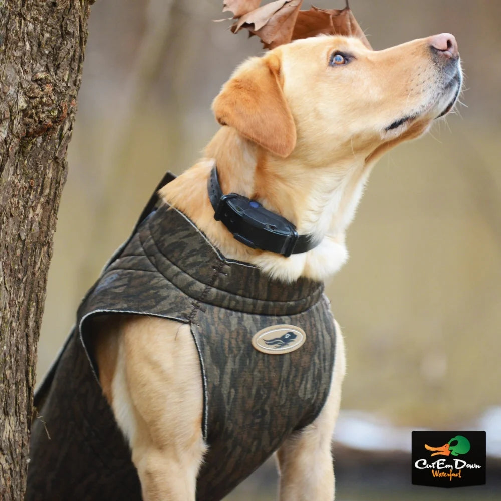 3XLarge Realtree Timber Hunting Dog Parka U84453