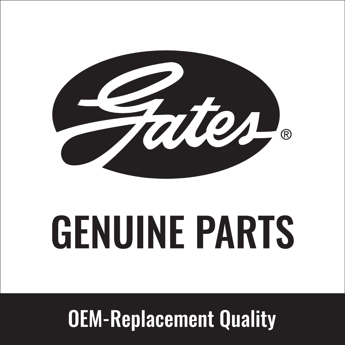 Serpentine Belt for Honda CR-V 2.0L L4 1997-1998 O744