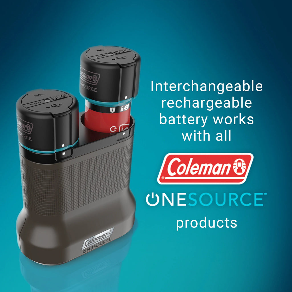 Rechargeable Lithium-Ion Battery Pack of 2 & 2-Port Quick-Charging Station R41151