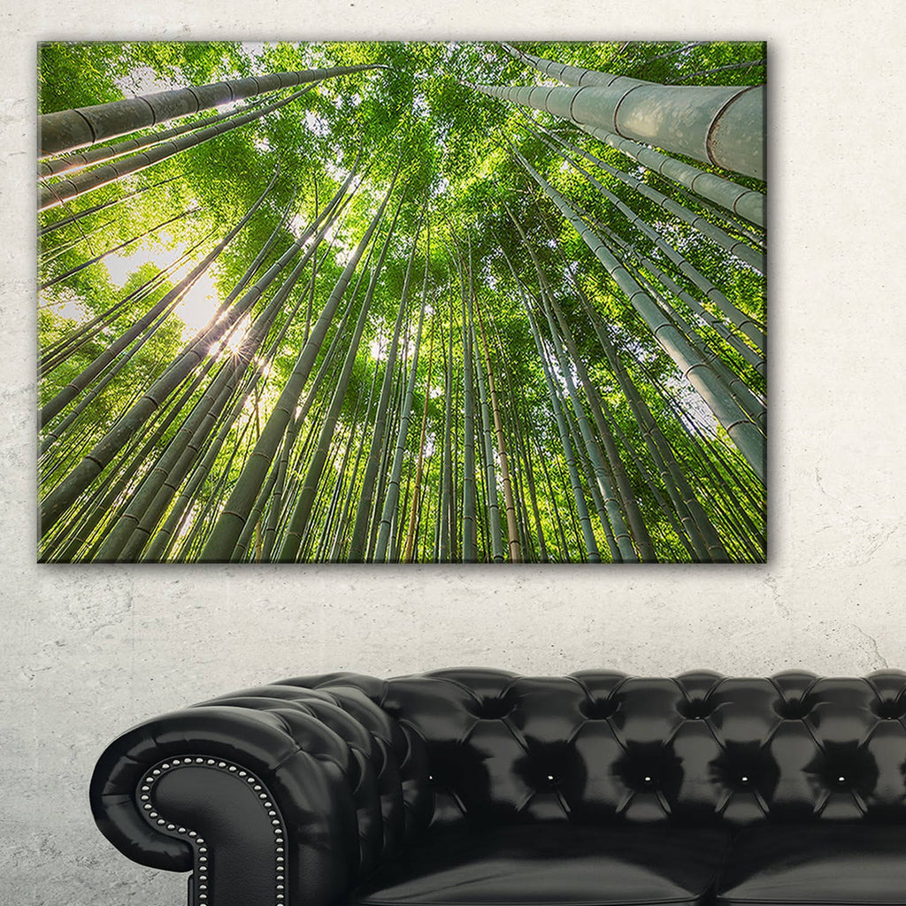 Oversized Forest Canvas Artwork Print H801735