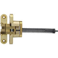 Invisible Hinge Alloy Steel Satin Brass Z6185