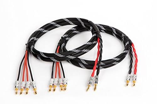 Bi-Wire Speaker Cable Pair Banana 6 ft X9354