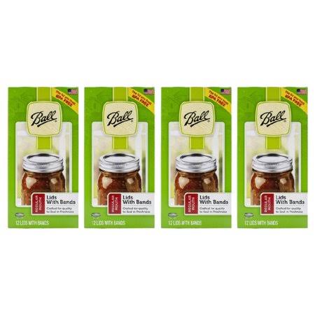 48 Canning Lids and Bands for Glass Jars T150