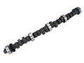 Magnum Camshaft Y800965