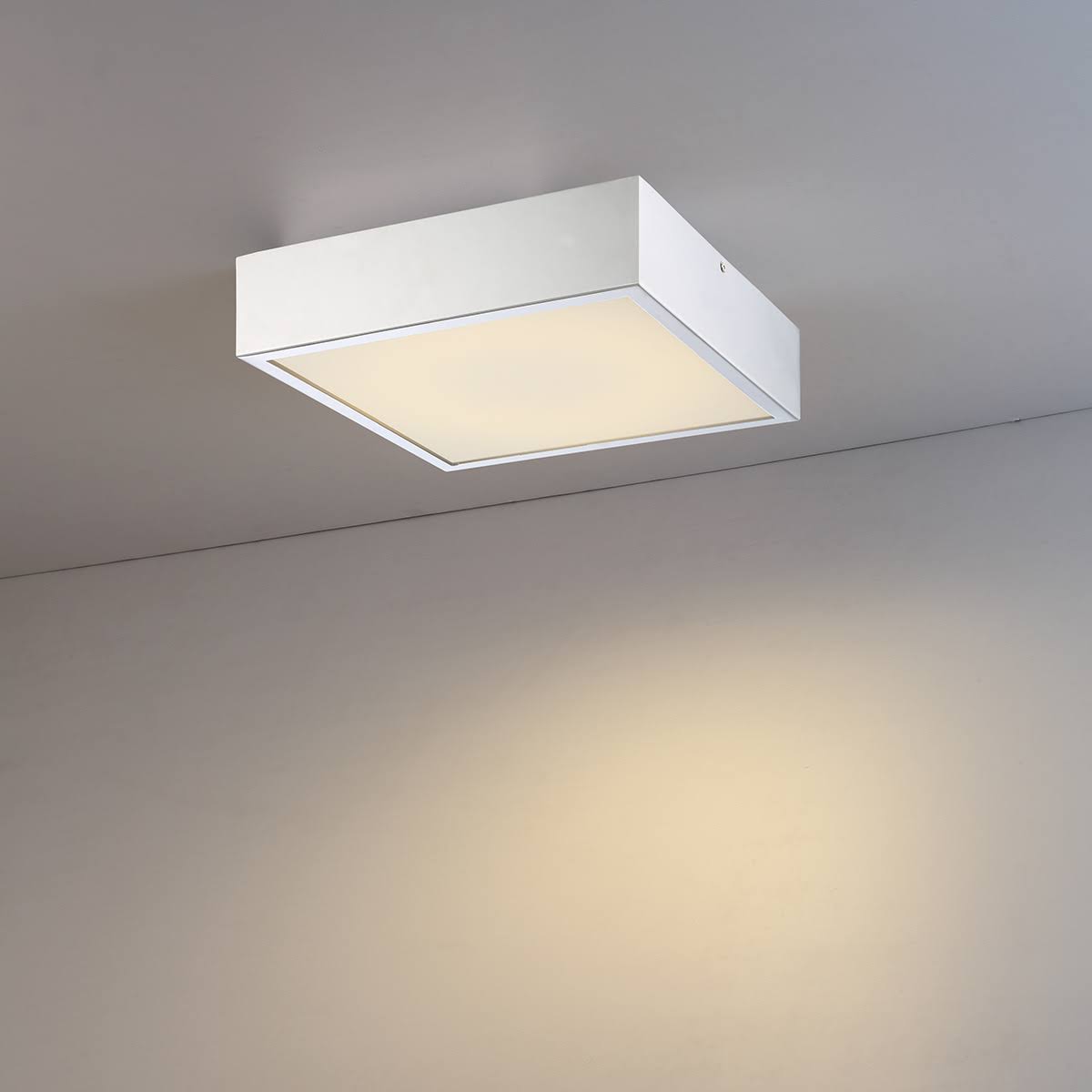 LED Flush-Mount R17905